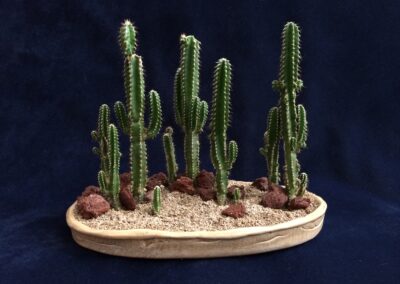 Nine-cactus planting, handmade ceramic pot.