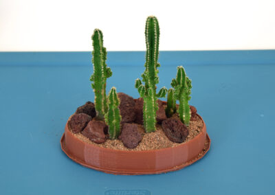 Five-cactus planting, 3D printed pot.